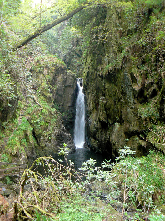 Stanley Force Stanley Force